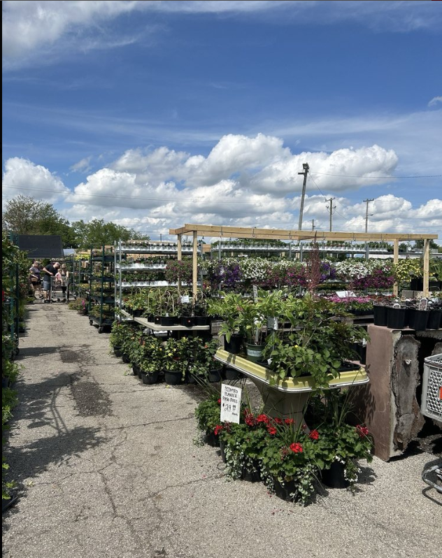 A garden center filled with lots of potted plants and flowers.