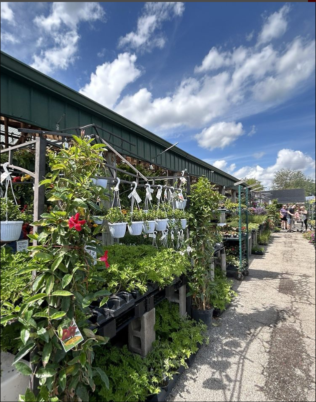 A garden center filled with lots of potted plants and flowers.