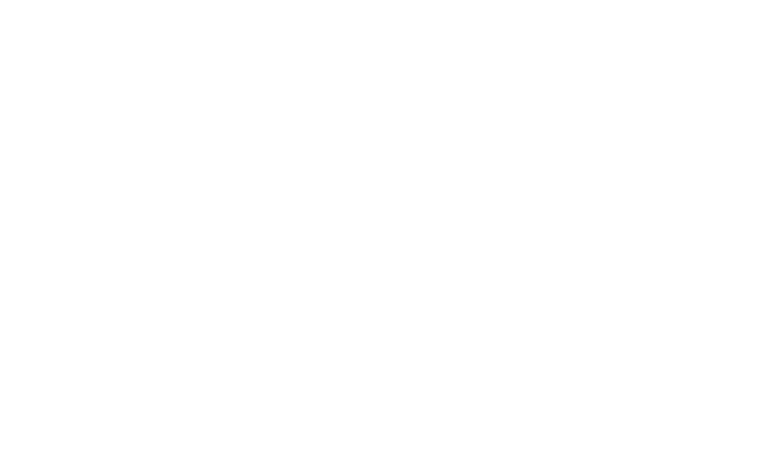 Company Logo | Chuy’s Auto Repair