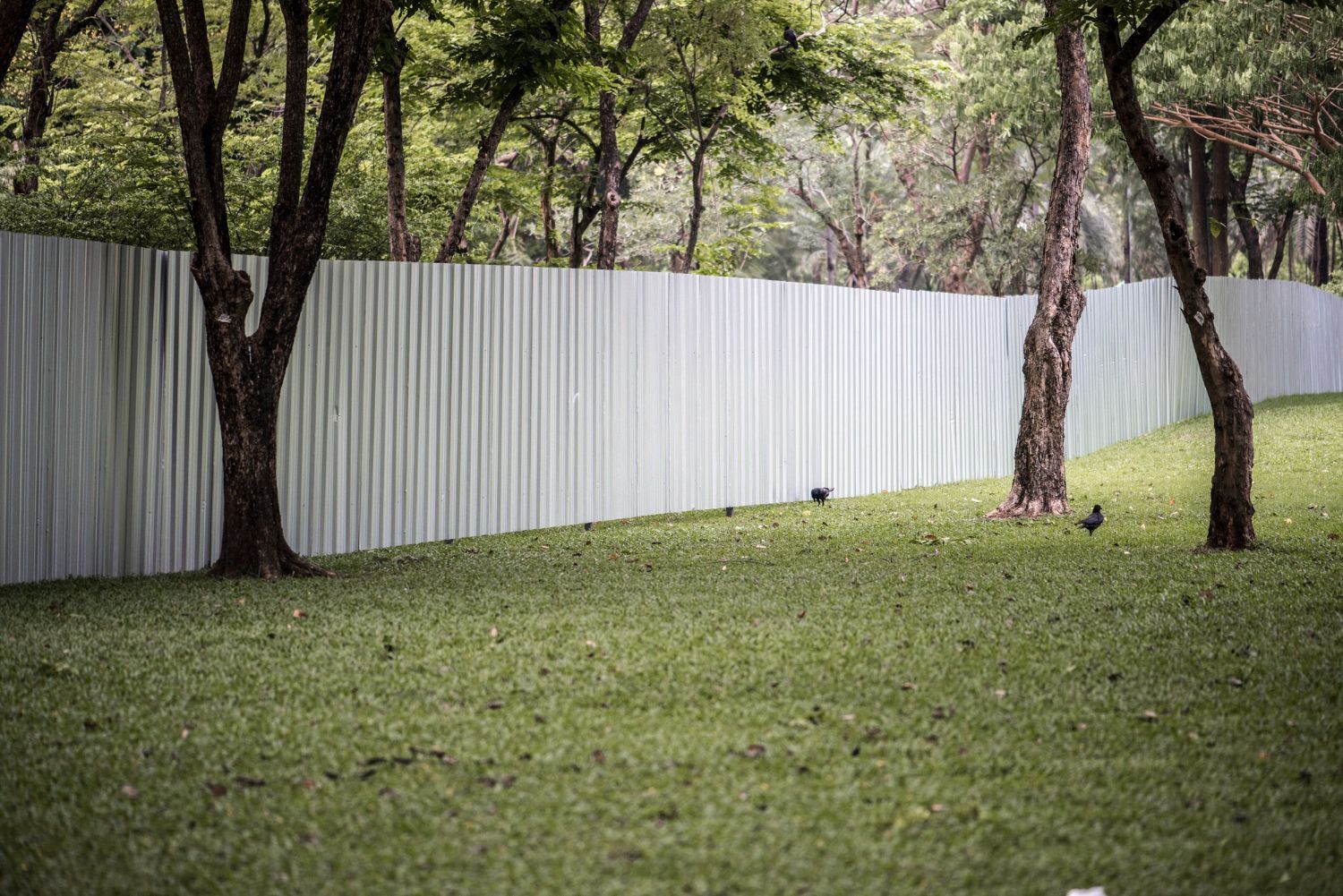 Commercial Fencing
