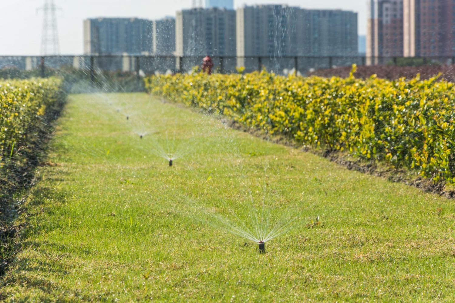 Commercial Irrigation