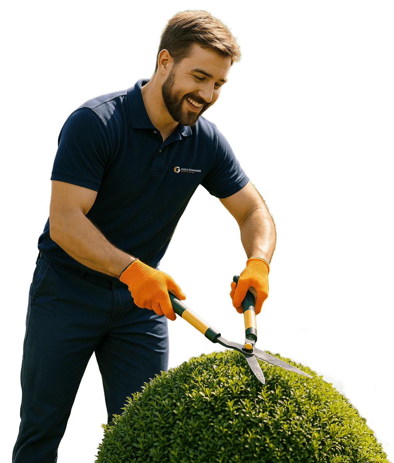 Hedge Trimming