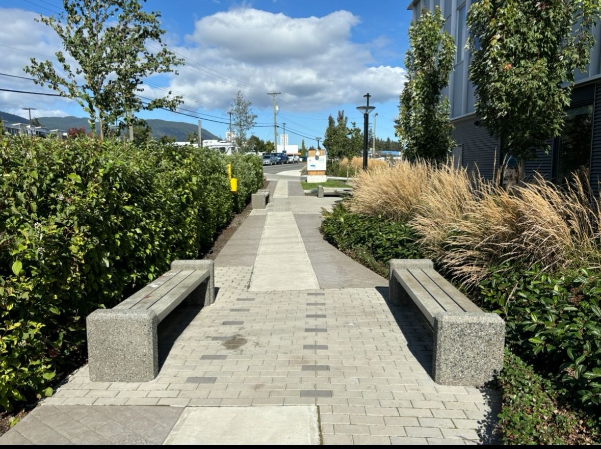 Commercial Landscape Construction