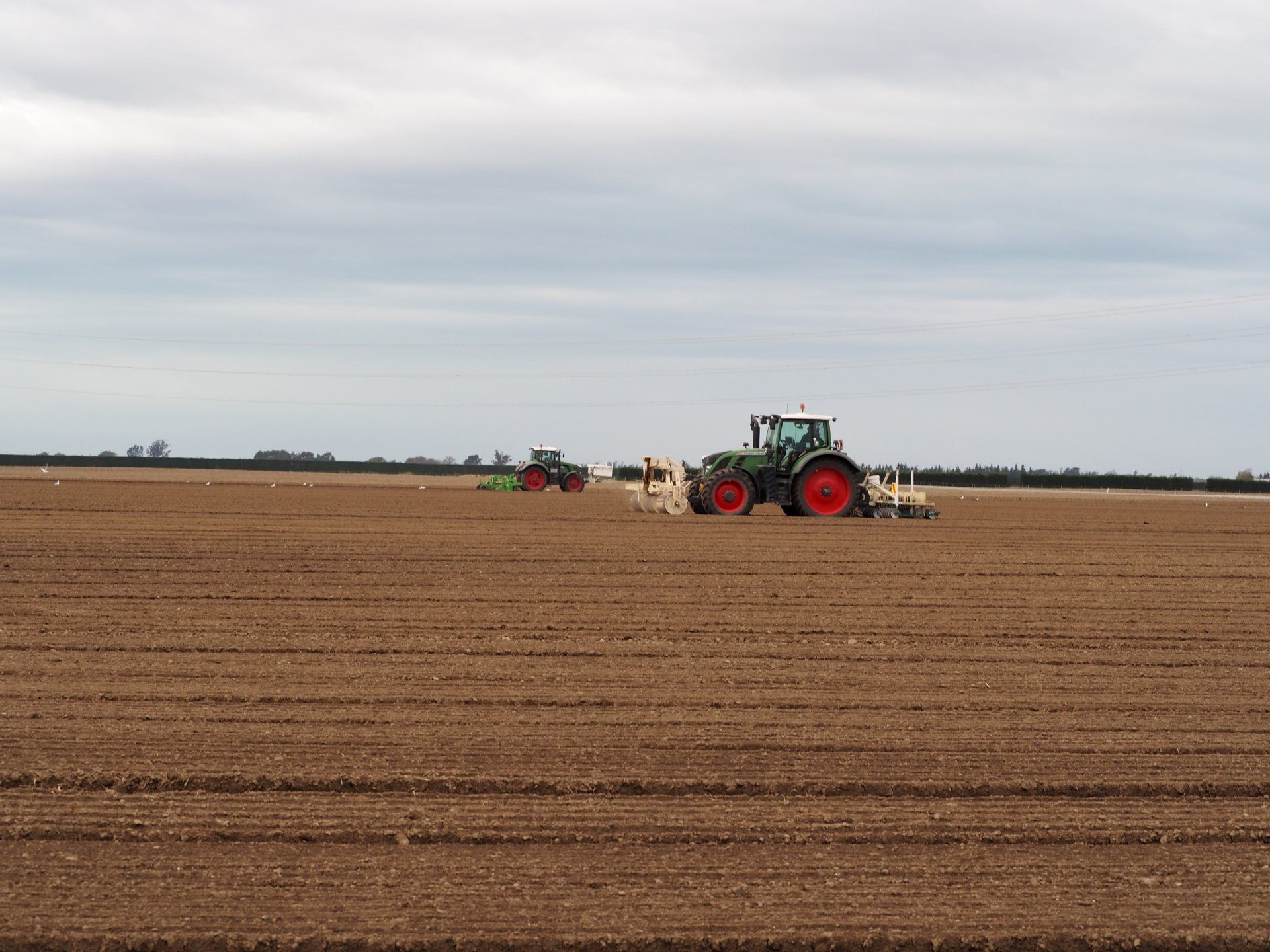 Hewson Farms located Pendarves/Chertsey area of the flat Canterbury