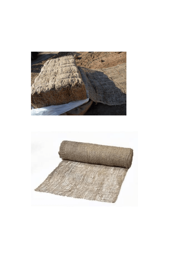 biodegradable product