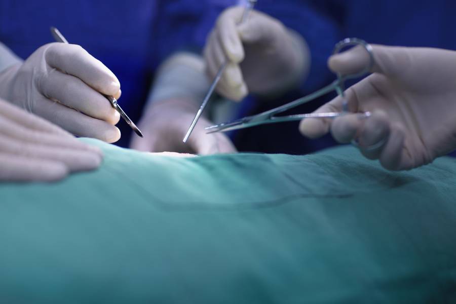 interventi di circoncisione