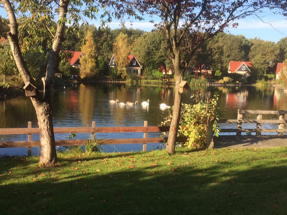 Herst op vakantiepark  Het Timmerholt in Westerbork bij huisnummer 133