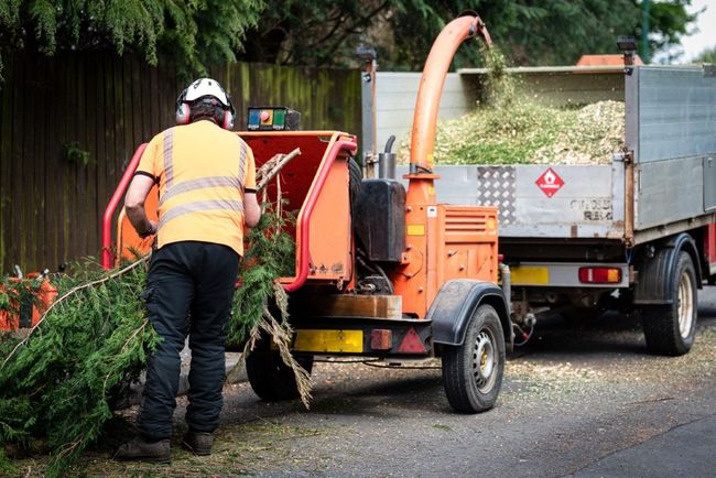 Man in safety gear feeds branches into a wood chipper, filling a truck bed.