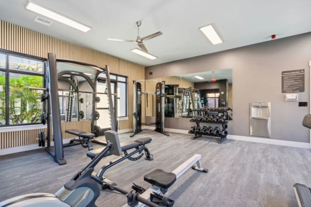 Gym interior with weight rack, machines, mirrors, windows, and dumbbell rack at The Avery at Orenco Station, offers apartments near Orenco Station Town Center.