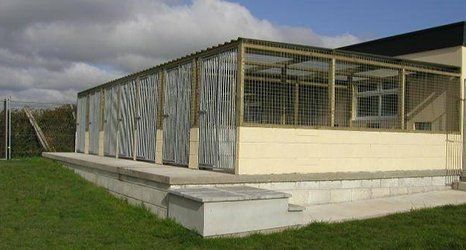 Spaciously designed kennels
