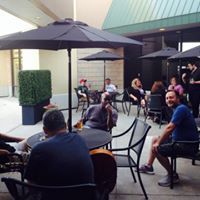 stray cat lounge outdoor patio