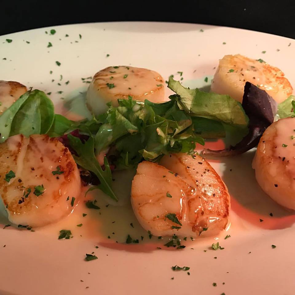 stray cat lounge scallops