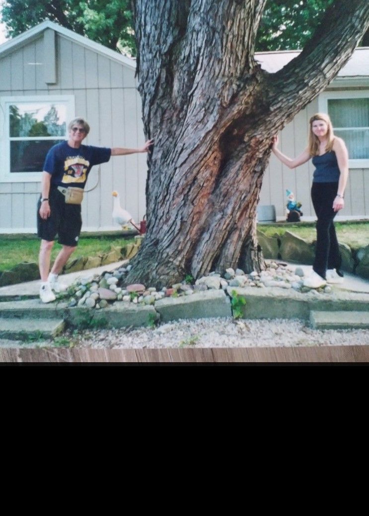 Two people standing on either side of a large tree in front of a house, one in black and one in gray.