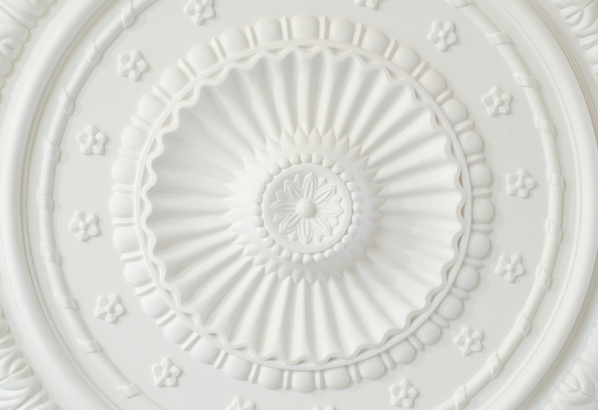 A white ceiling rose plate close-up.