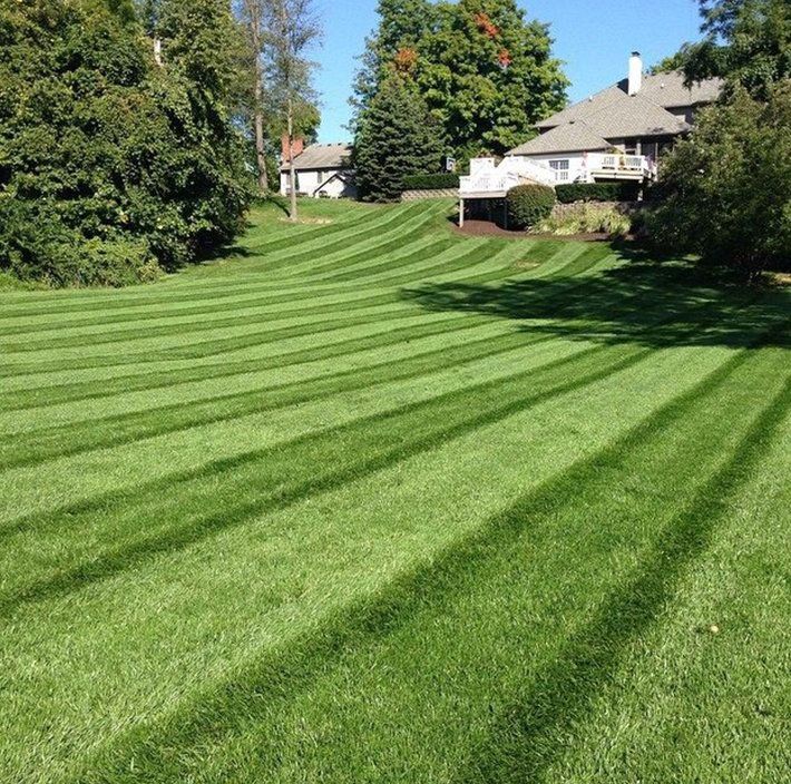 A lush green lawn with a house in the background