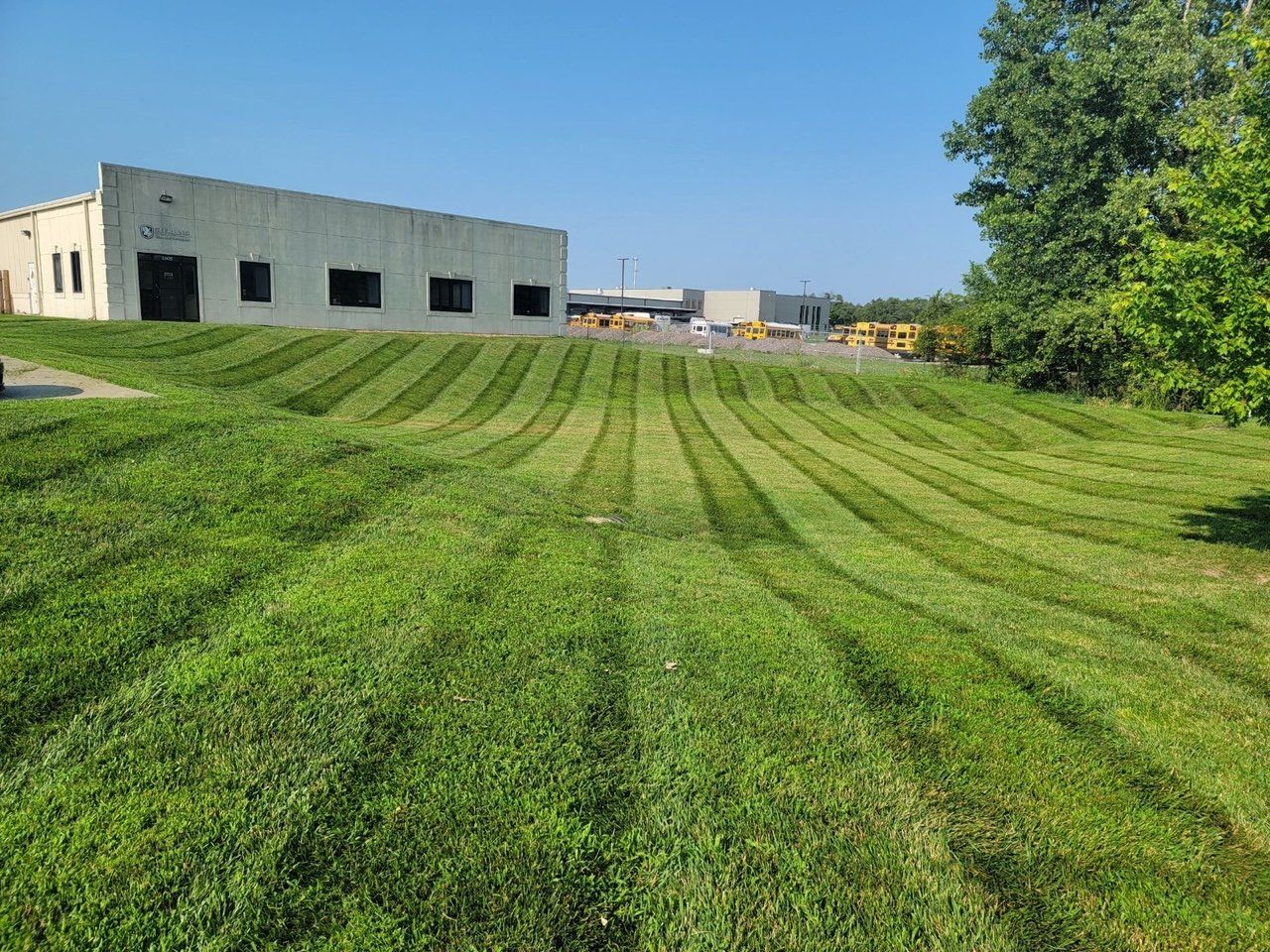 A lush green field of grass with a building in the background.