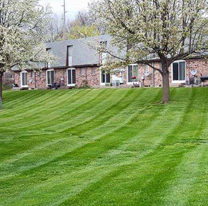 A lush green lawn in front of a row of houses.