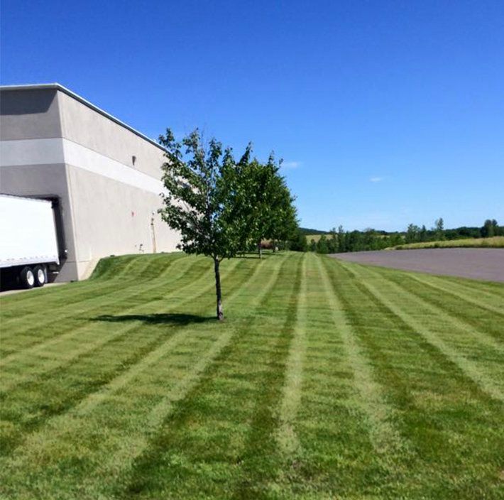 A truck is parked in the grass in front of a building
