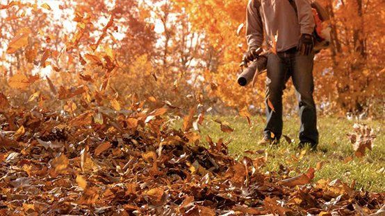 Superior Lawn Leaf Blowing Service