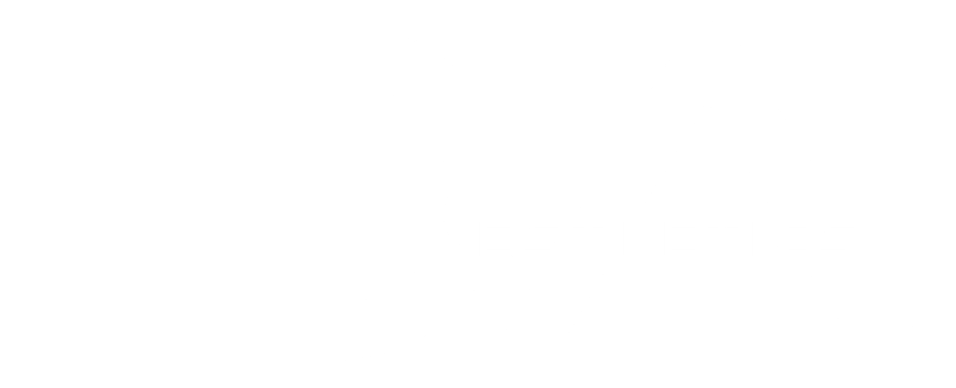 The logo for ida aesthetics is brown and white