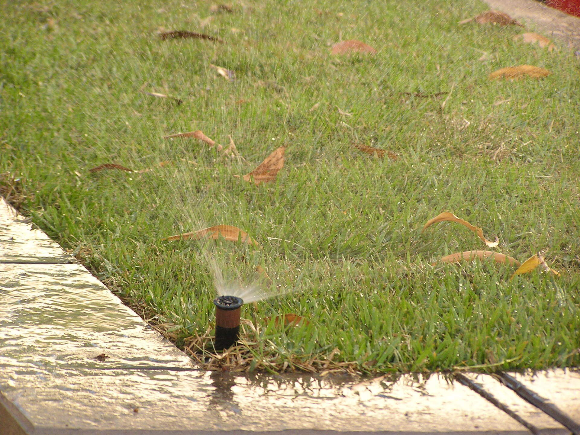 Grass — Irrig8 in Palmerston, NT