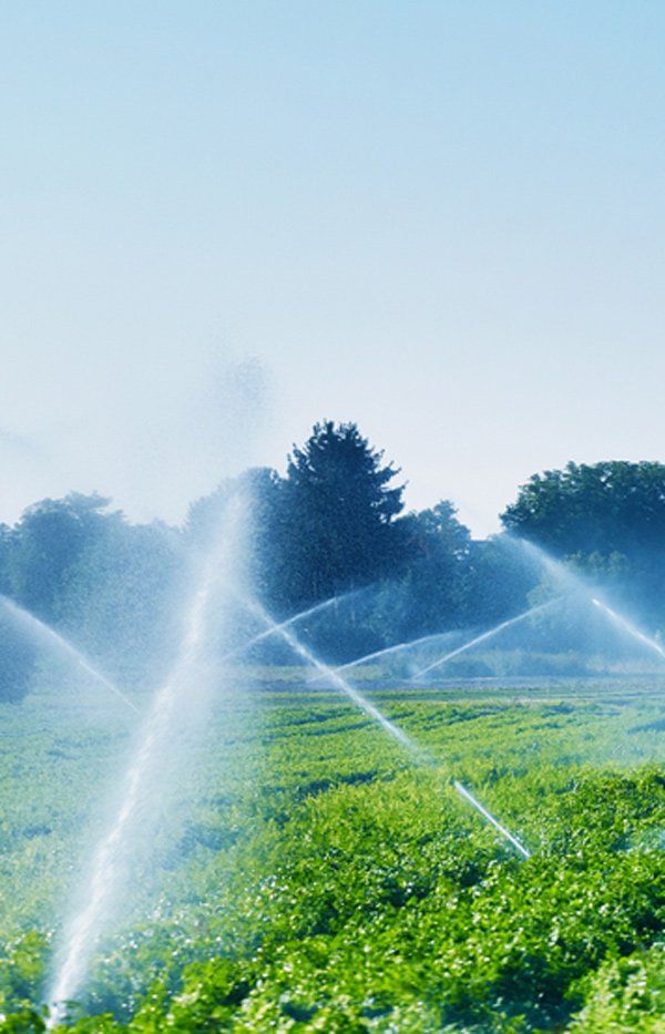 Irrig8 Irrigation in Darwin