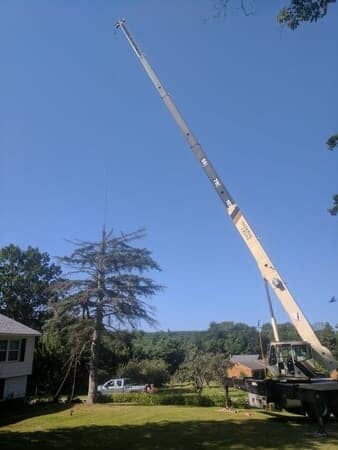 Don's tree Service Truck Removing tree - Tree removal in Gilford, NH