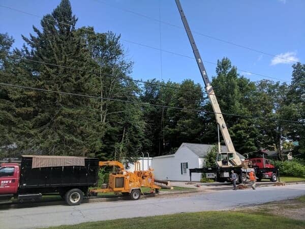 Don's Tree Services Trucks - Tree removal in Gilford, NH