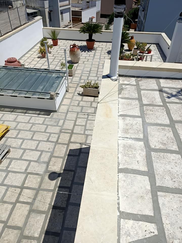 Un tetto con sopra alcune piante in vaso