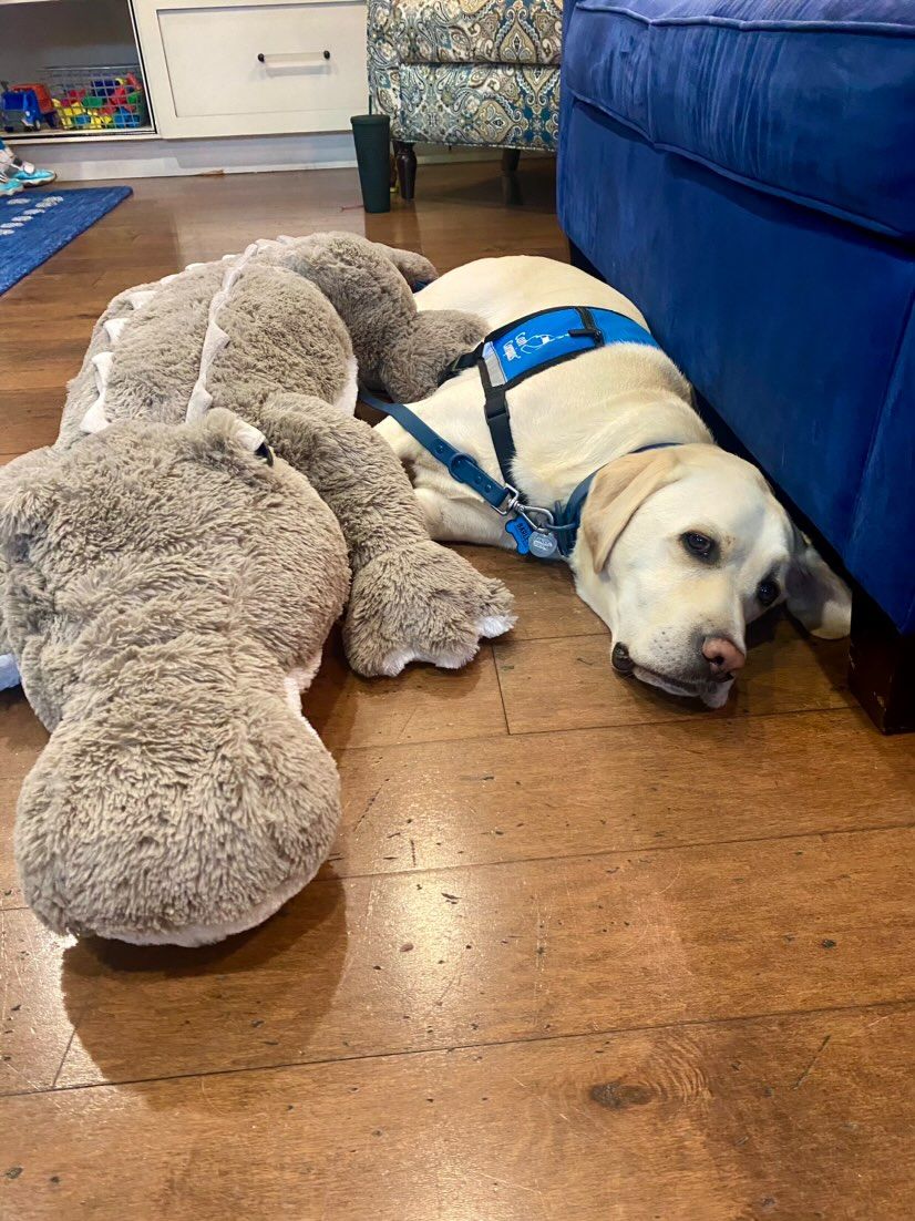 A dog is laying on the floor next to a stuffed animal.