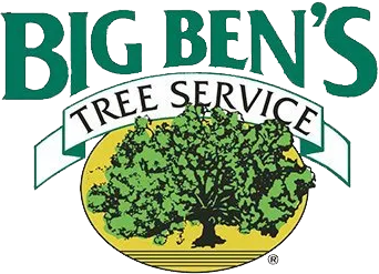 Big Bens Tree Service