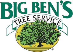 Big Bens Tree Service