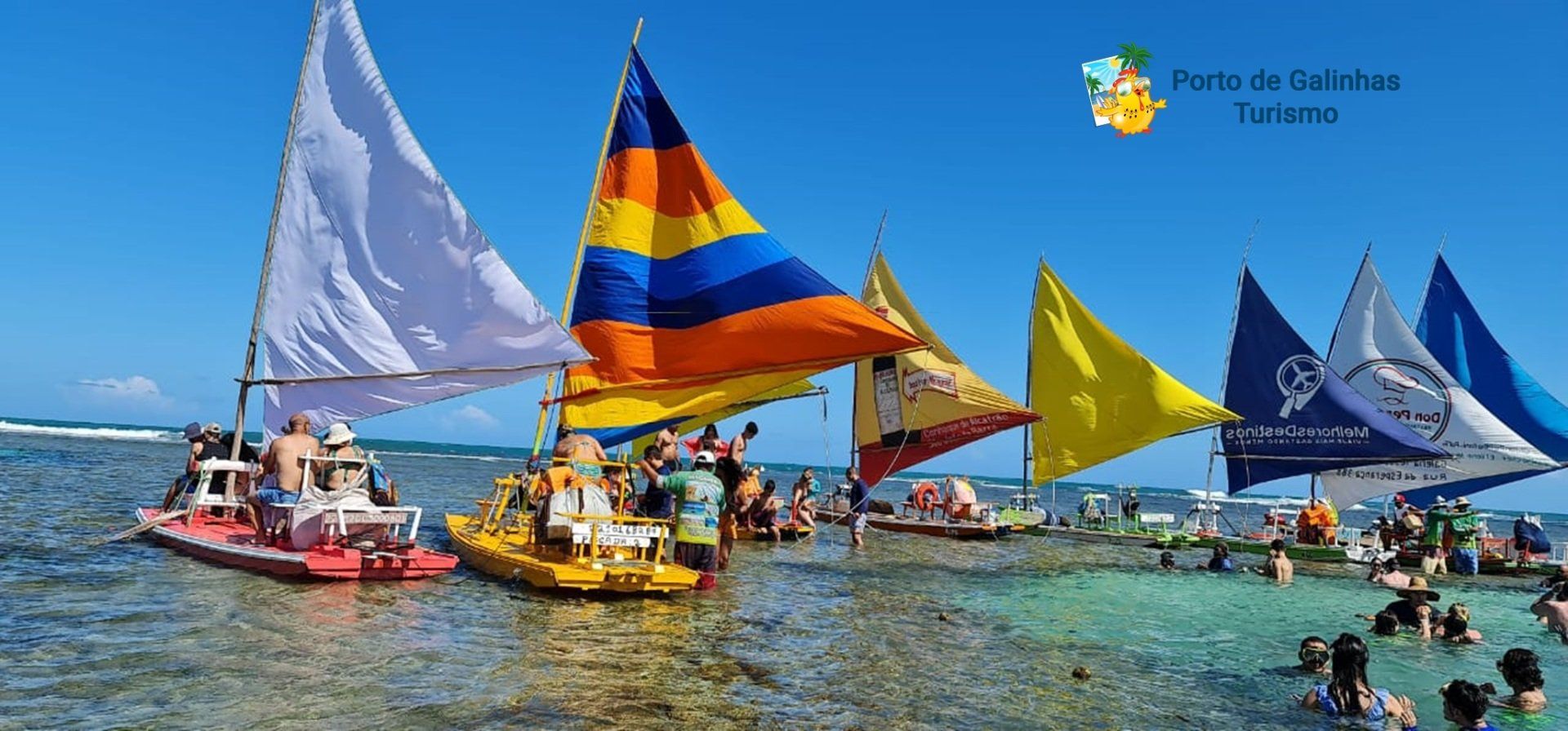 Um grupo de veleiros está flutuando sobre um corpo d'água.