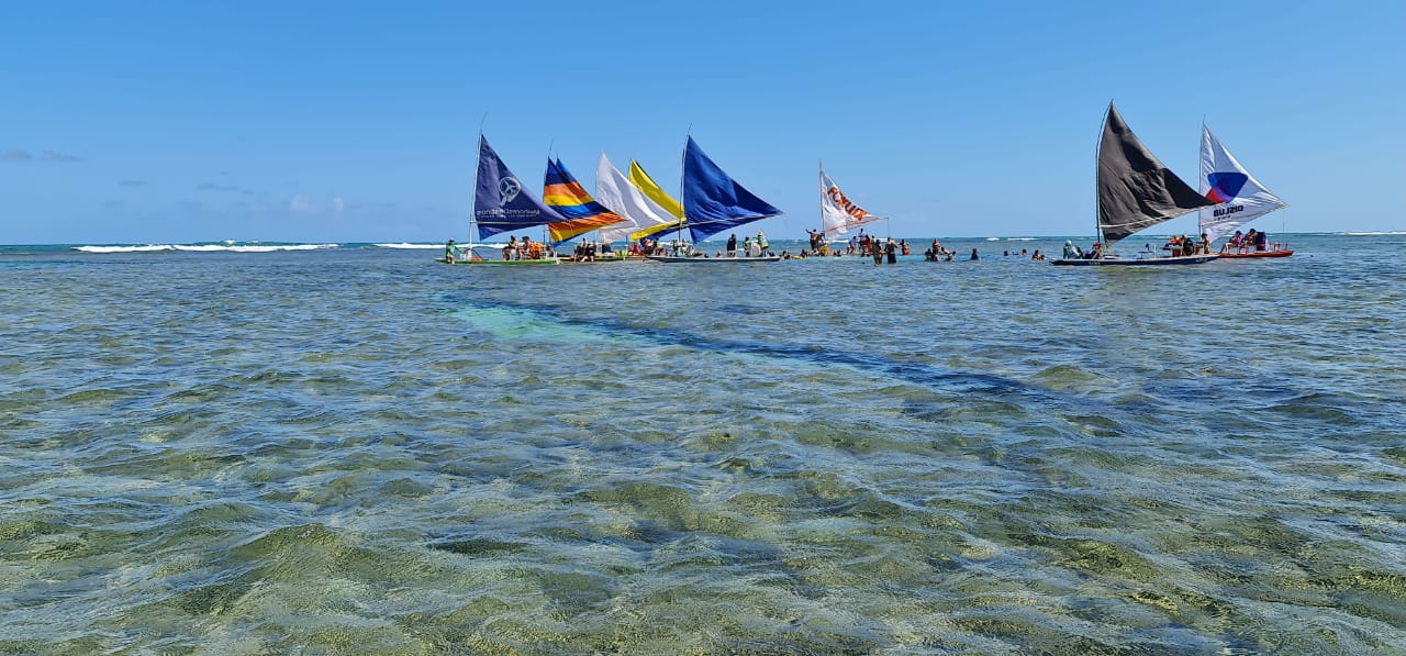 Um grupo de veleiros está flutuando sobre um corpo d'água.