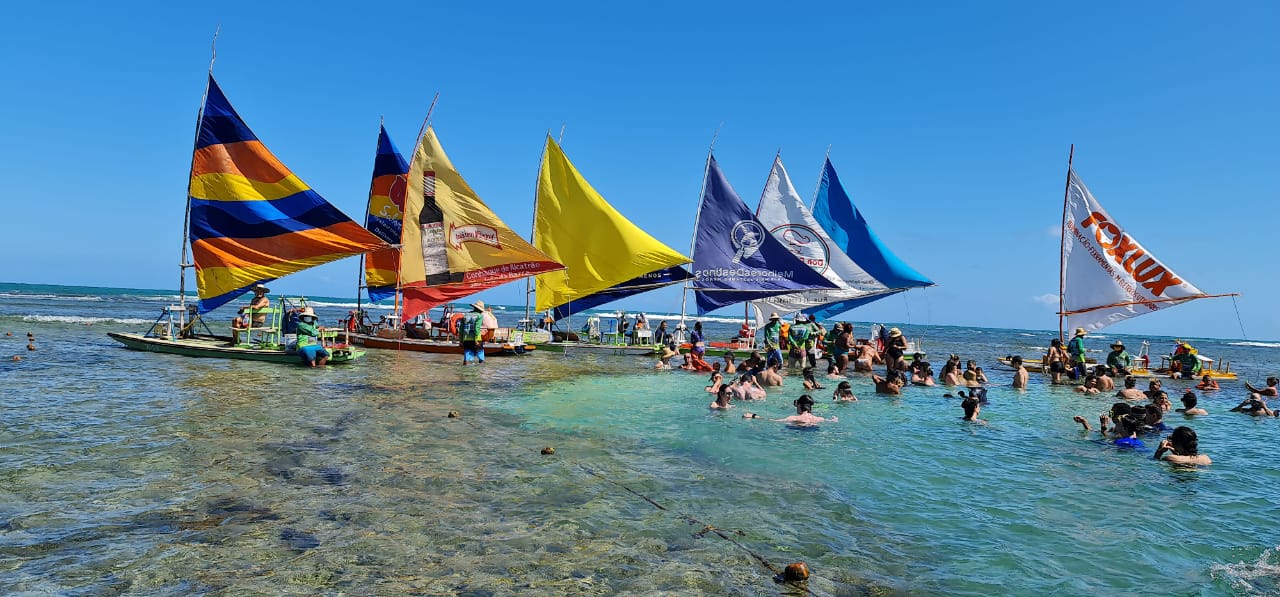 Um grupo de veleiros estão alinhados em uma praia.