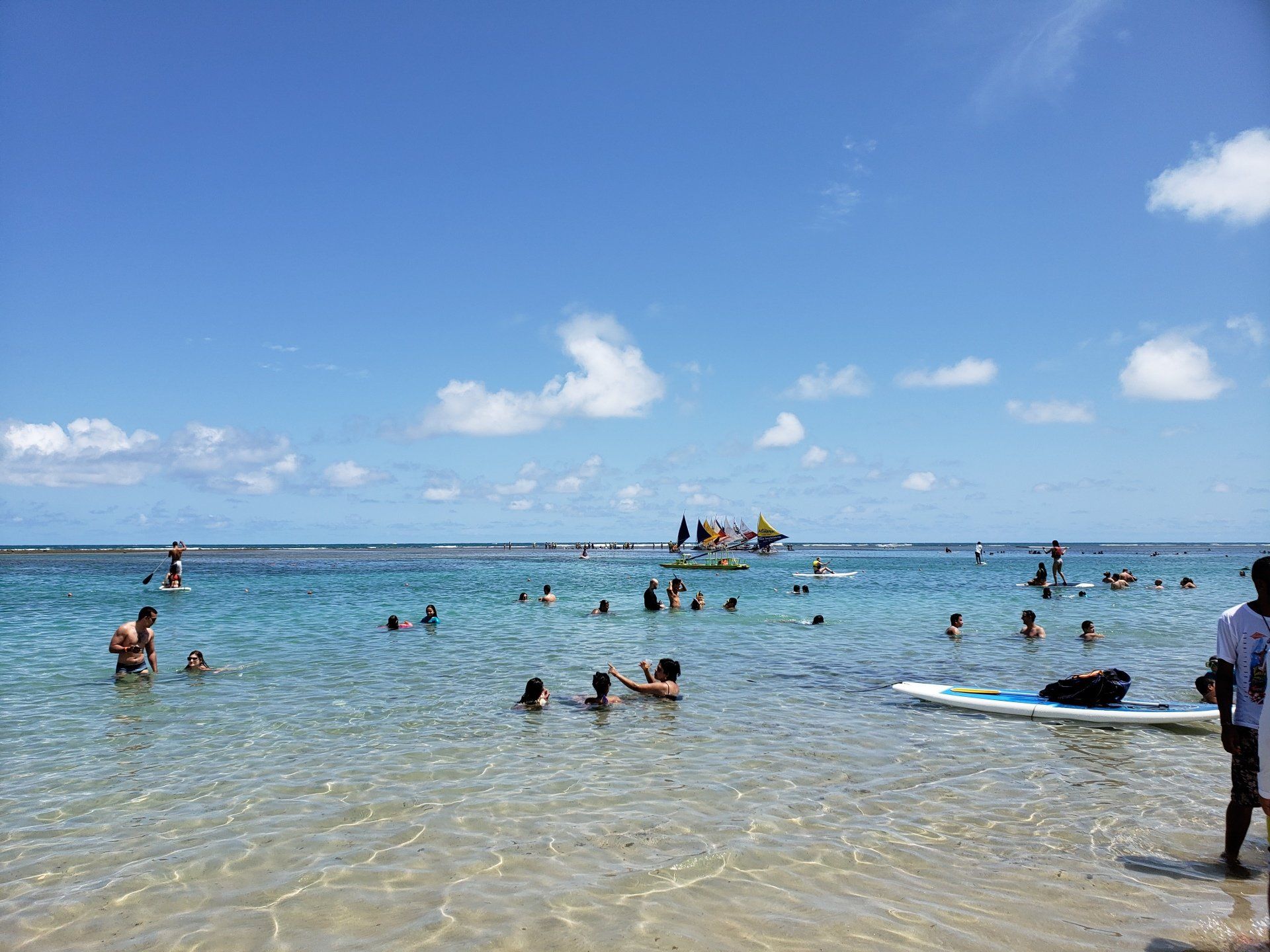 Um grupo de pessoas está nadando no oceano em um dia ensolarado.