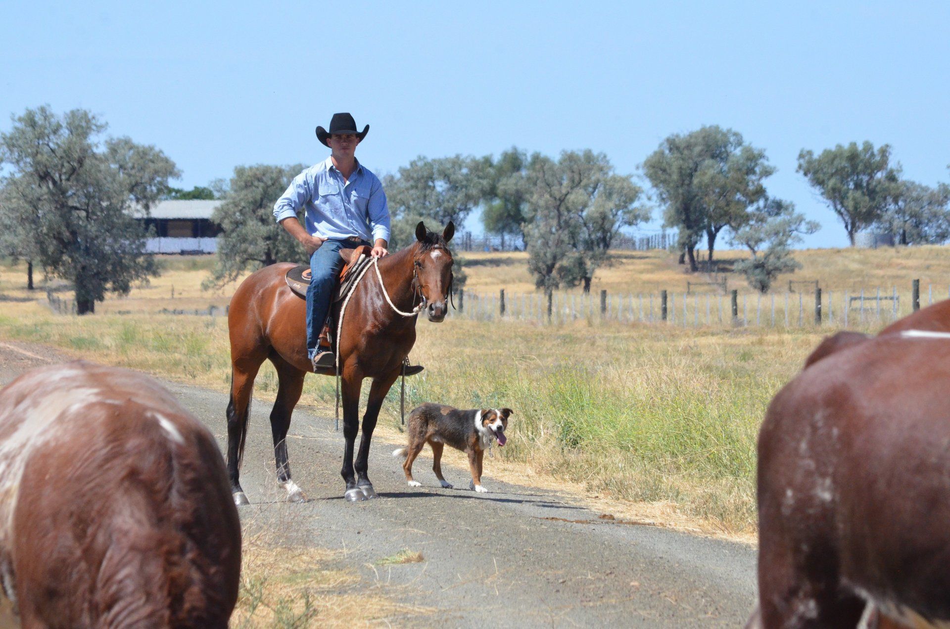 J with Dog on track