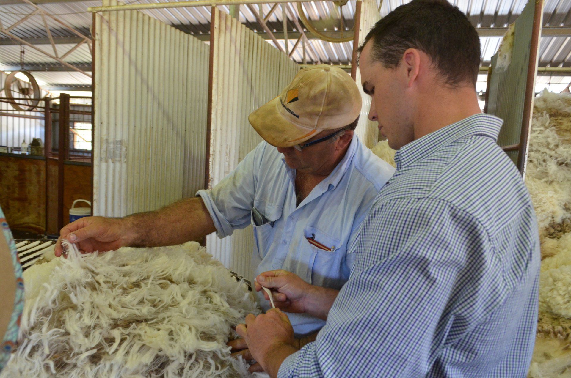 Peter adn J inspecting fleece