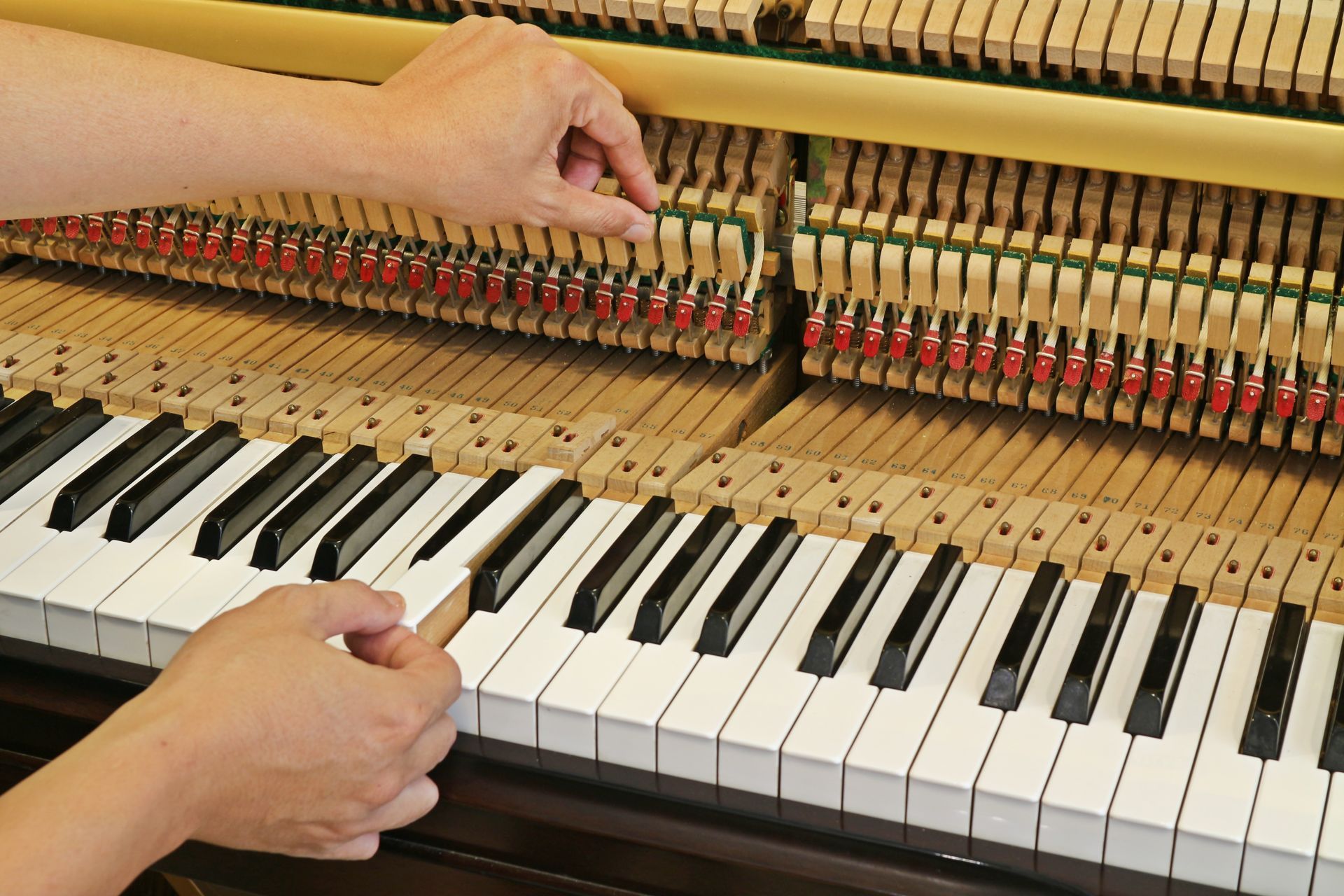 Hands tuning the action of an upright piano with exposed keys and hammers