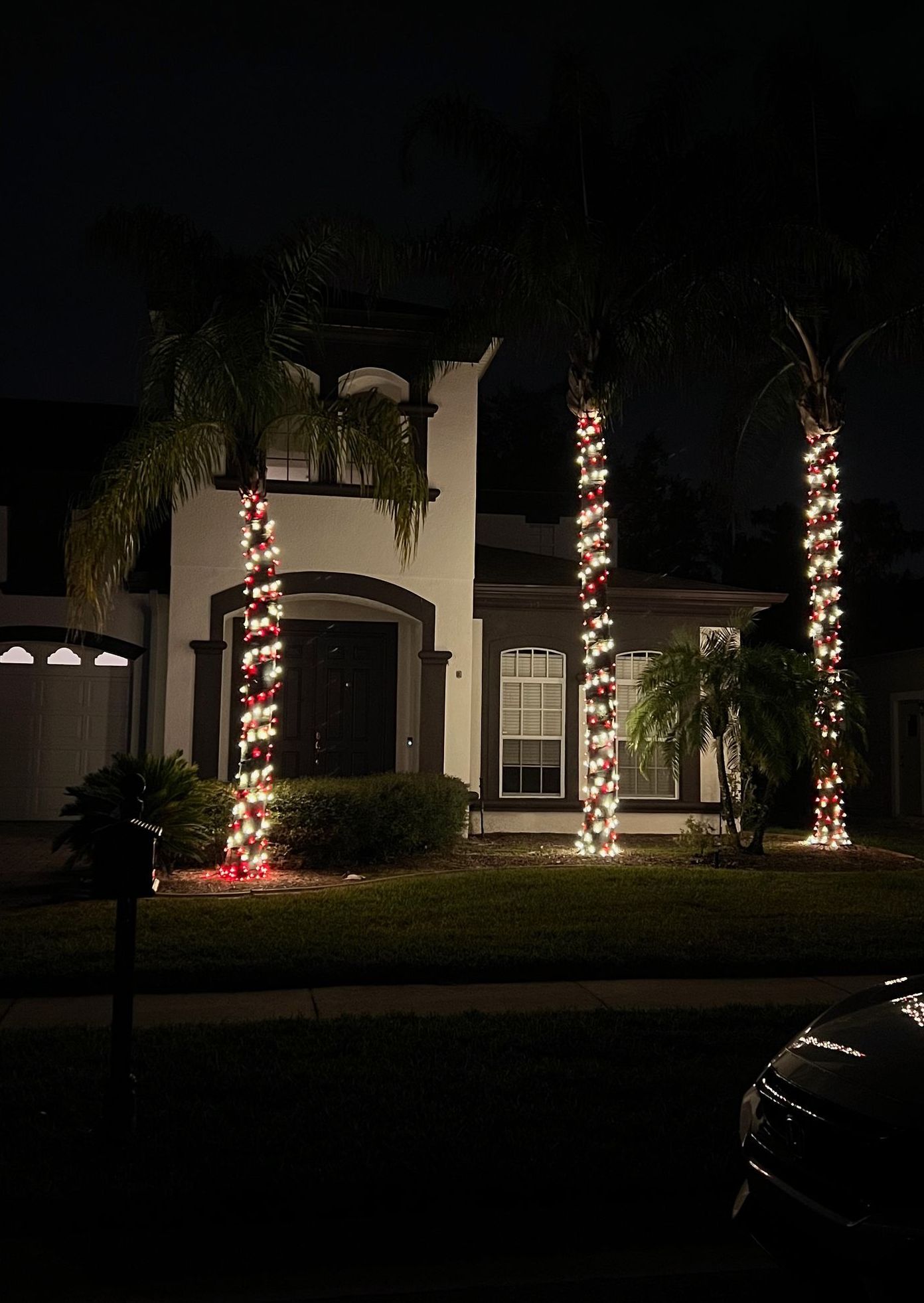 three lit palm trees