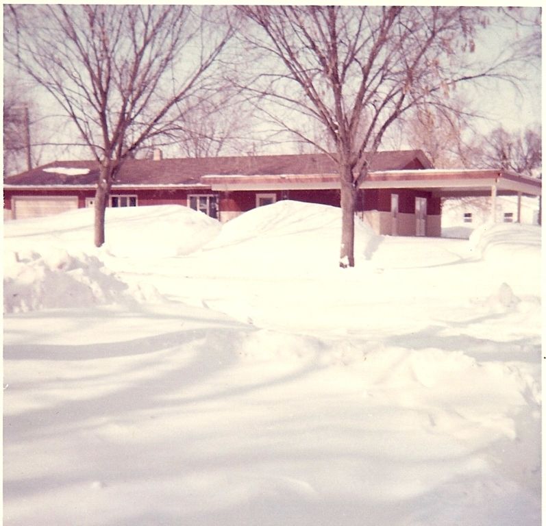 A house in the snow with trees in the foreground
