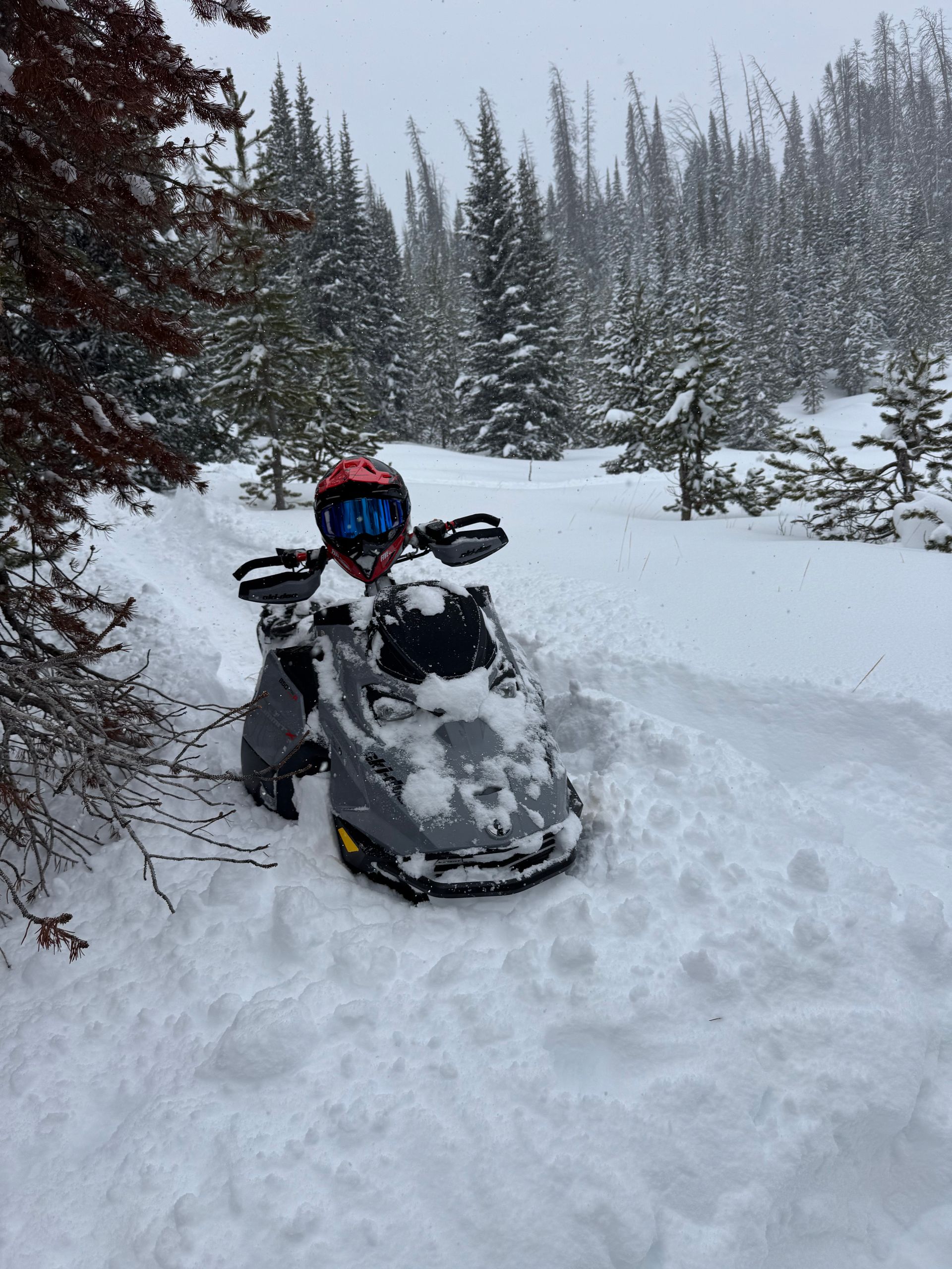 snowmobile in Wyoming
