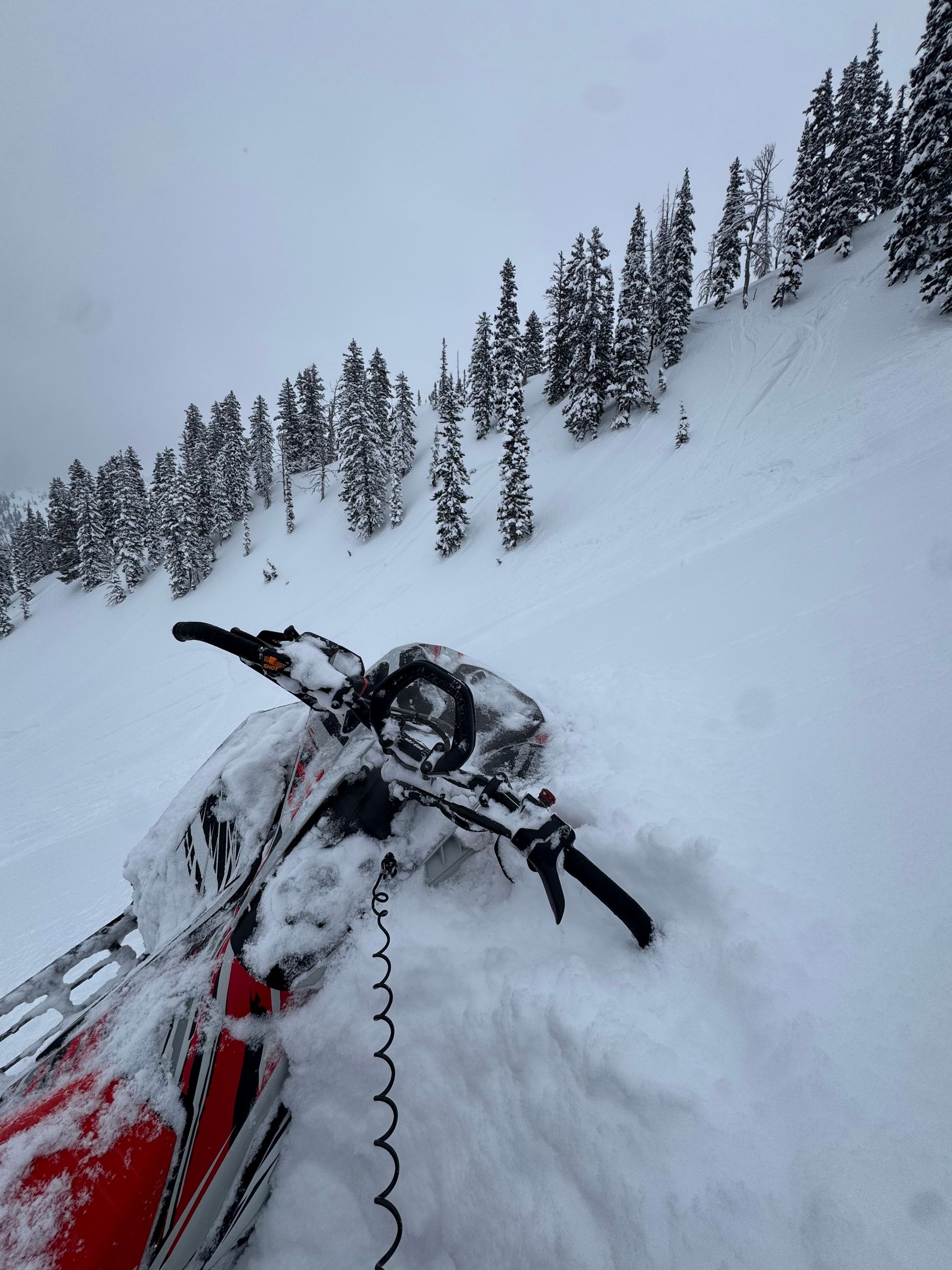 Snowmobile rental in Island Park Idaho