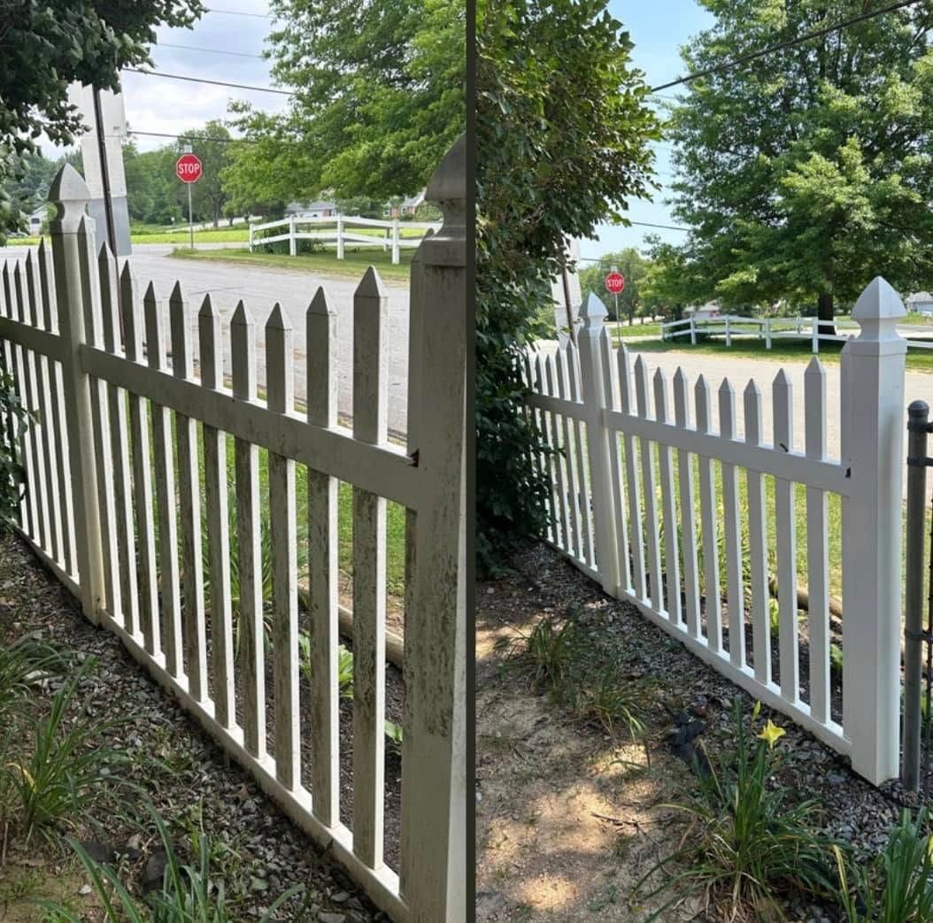 A white picket fence is surrounded by trees and bushes.