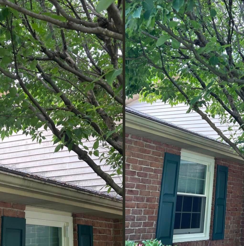 A brick house with blue shutters and a tree in the background