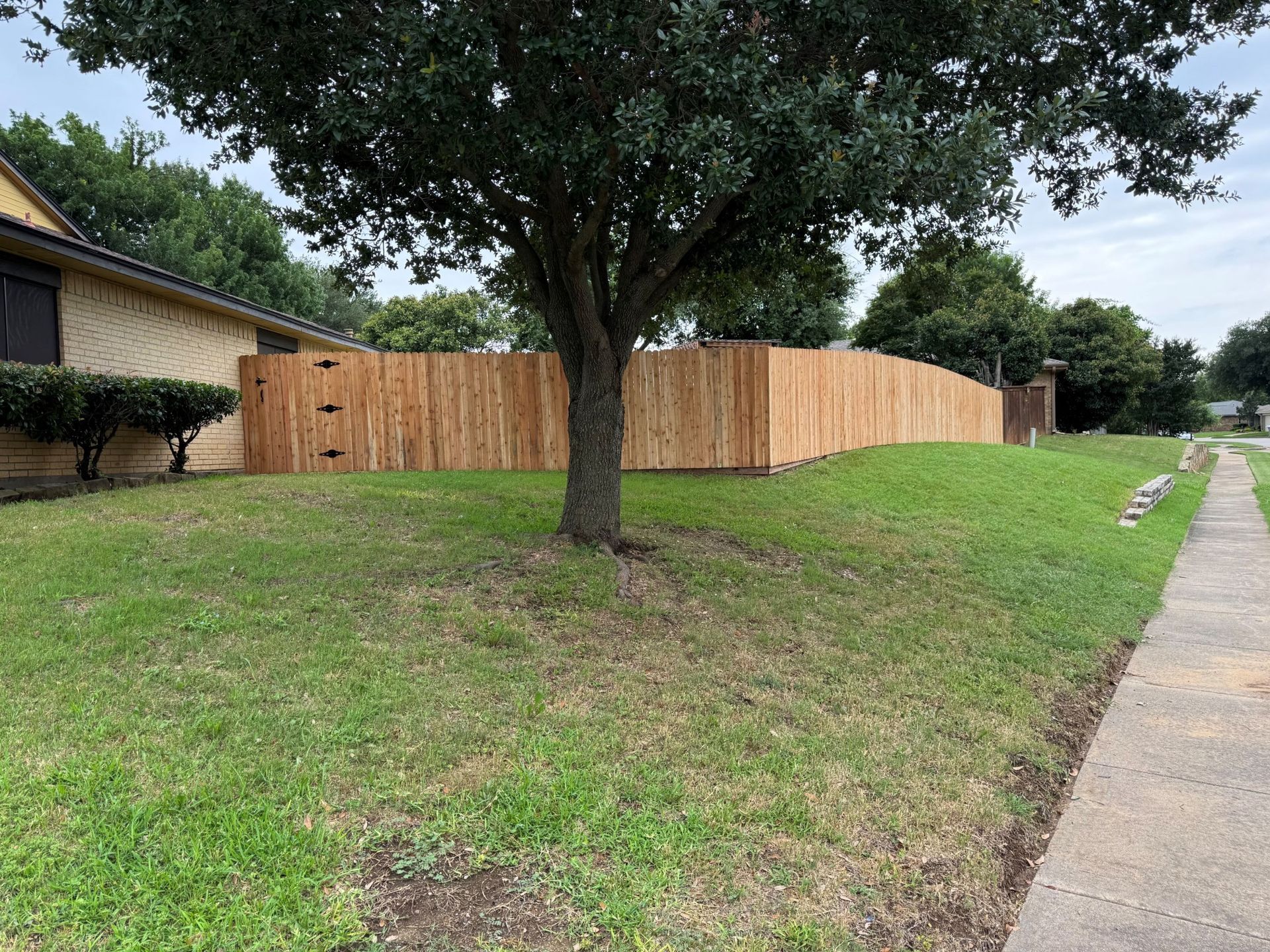 A wooden fence lines a green lawn, with a tree in front of it. A sidewalk is on the right.