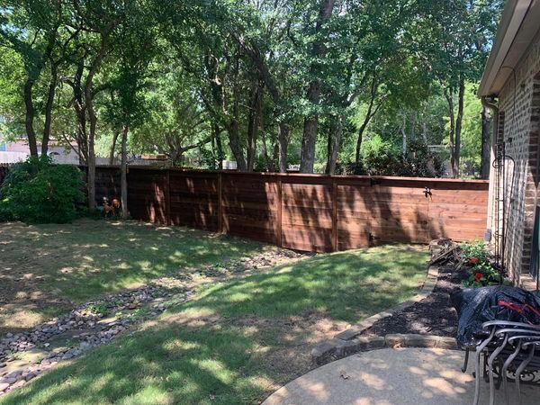 Backyard with a brown wooden fence, green grass, and trees on a sunny day.