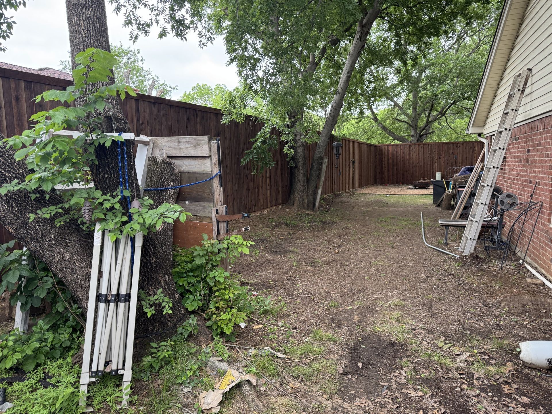 Backyard with brown fence, brick house, trees, and debris on the ground.