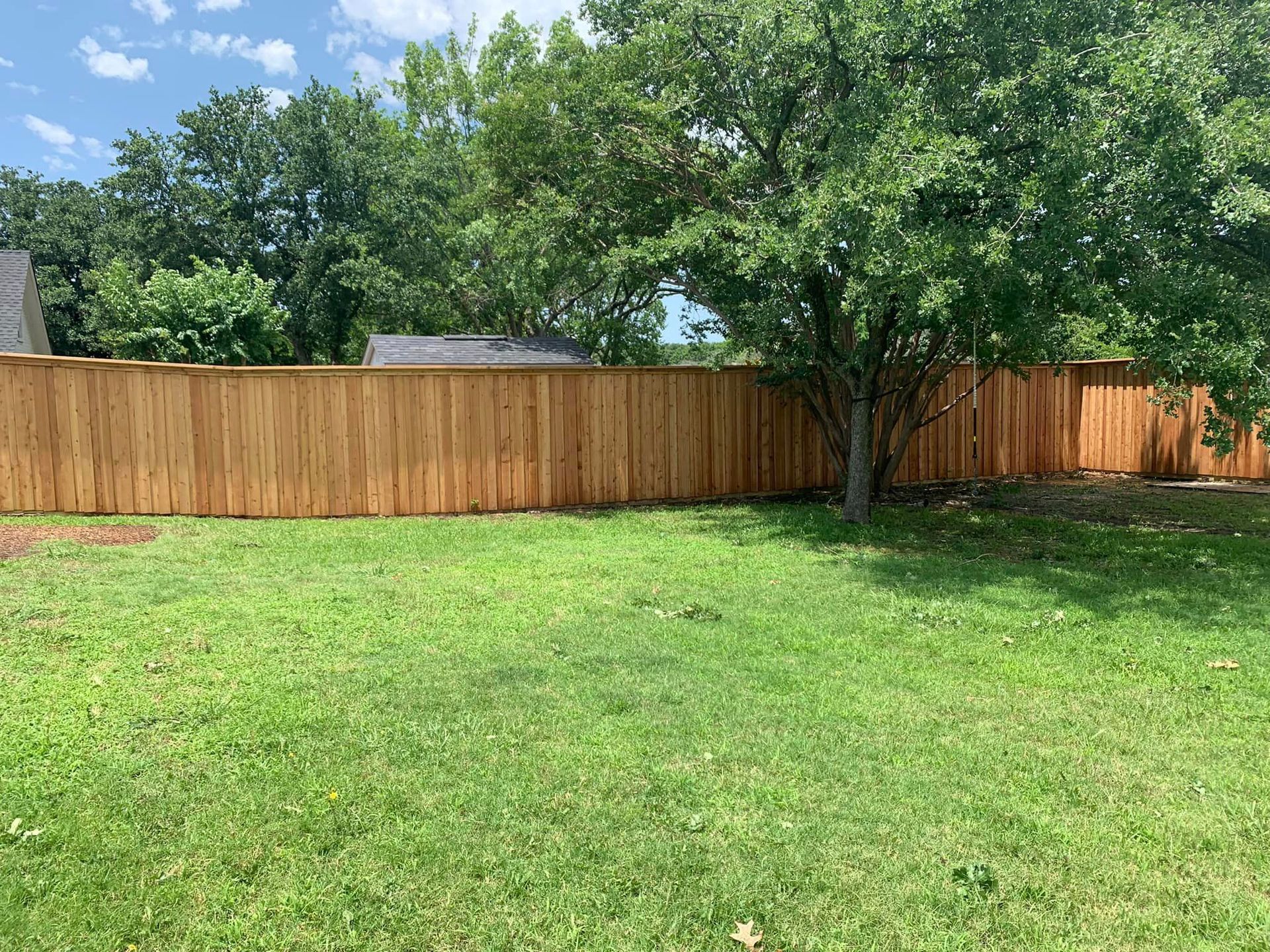 Wooden fence surrounds a grassy yard with a large tree and blue sky.