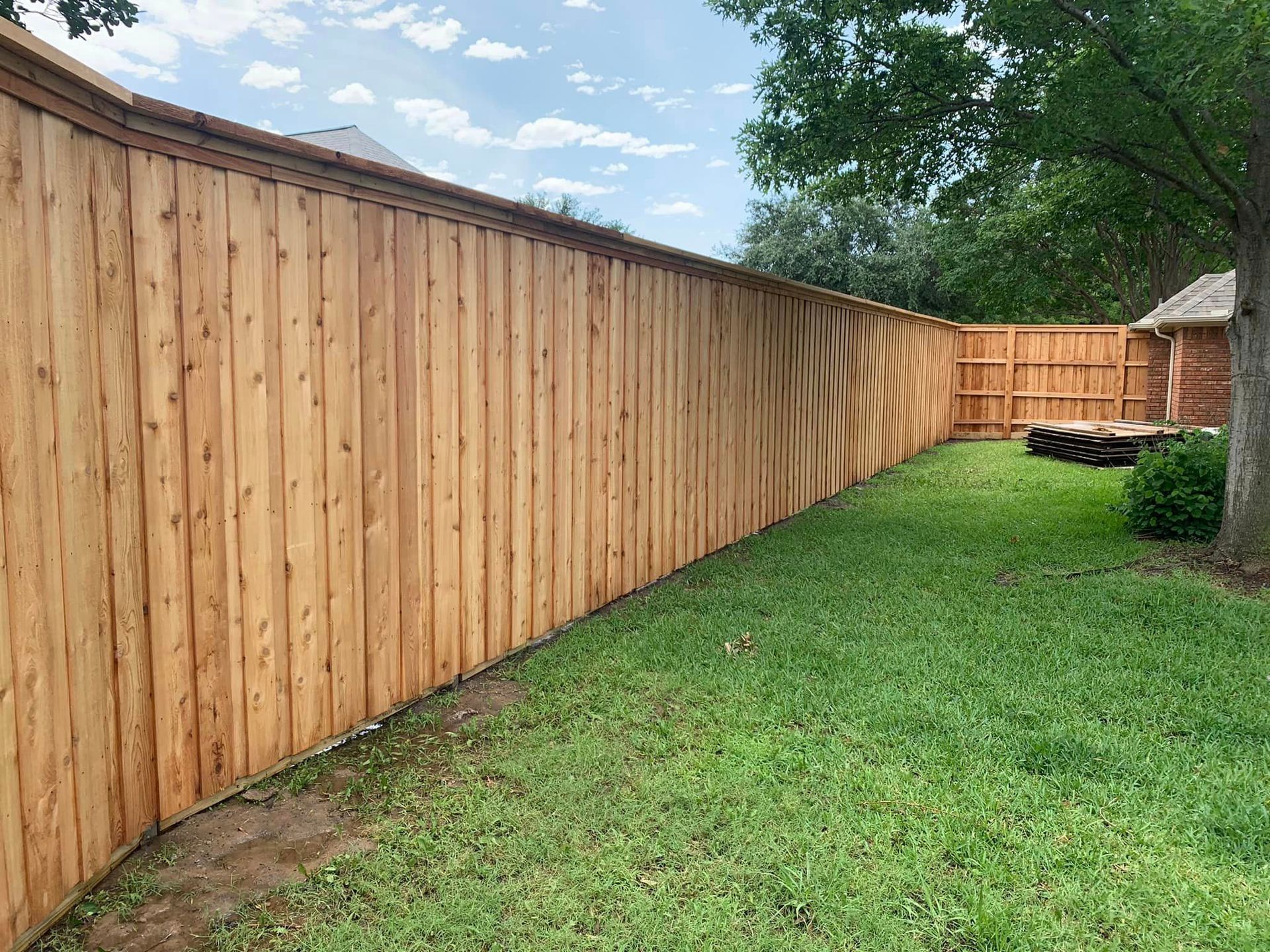 Wooden fence in a backyard with green grass and a tree.